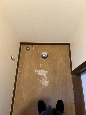 IMG_3631 IMG_36311-e1719360384547